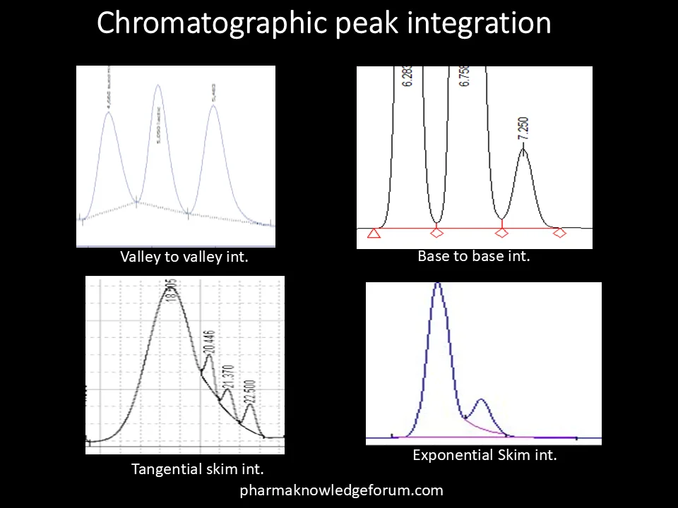 Chromatographic peak integration